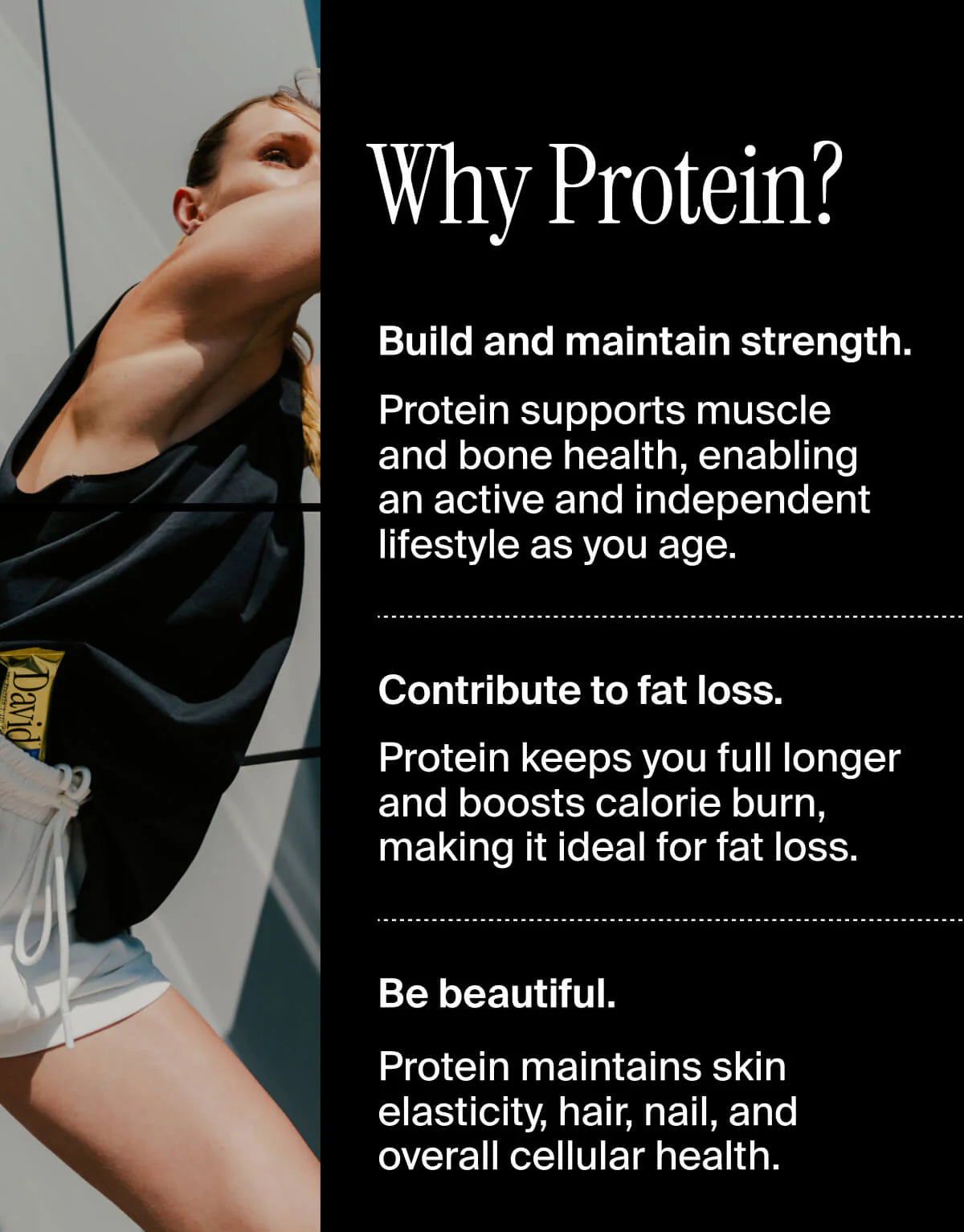 David Bars - High Protein Low Guilt!