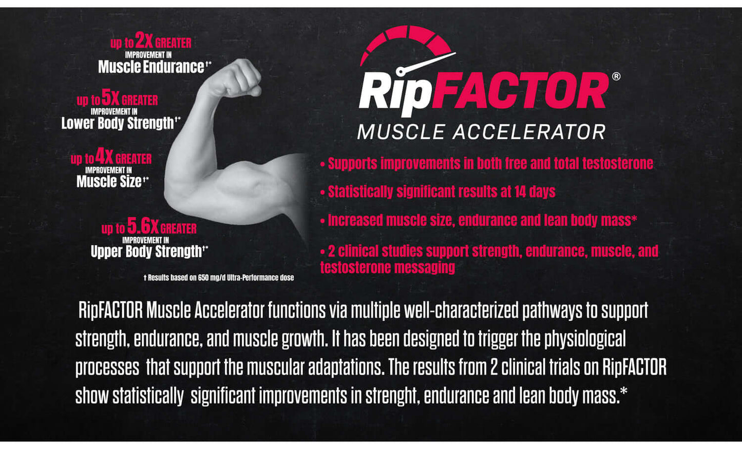 HARDCORE BULK-90 caps